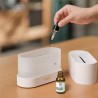 Flamme aroma diffuser